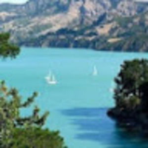 Meet your Posher, Lindsay